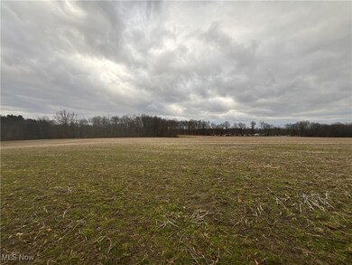 0 Ohio 225 unit 5174573, Diamond, OH 44412 - photo 4