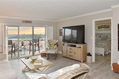 Yorkshire House unit 811, Saint Petersburg, FL 33715 - photo 7