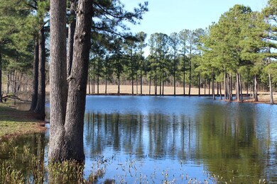 0 Highway 221 unit 451326, McDuffie, GA 30808 - photo 2