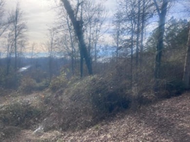 000A Riverbend Rd, Fair Play, SC 29643 - photo 3