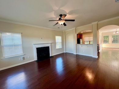 297 Massey Cir, Chapin, SC 29036 - photo 3