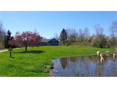 stocked pond