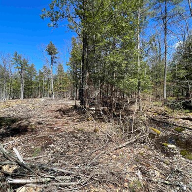 00 Foxtrot Lot 20 Dr unit 20, Farmington, NH 03835 - photo 2