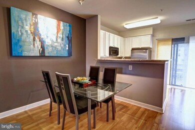 22559 Blue Elder Terrace, Ashburn, VA 20148 - photo 5