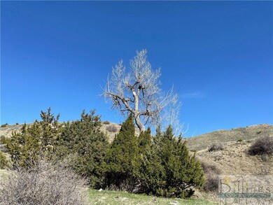 NSN Moser Dome Rd, Laurel, MT 59044 - photo 7