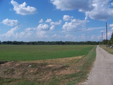 36528 Betka Rd, Hempstead, TX 77445 - photo 5