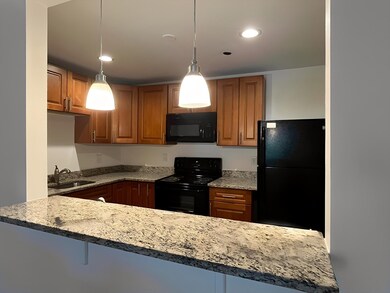 324 Washington St unit 301, Wellesley Hills, MA 02481 - photo 3