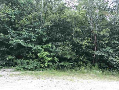 0 Saphire Ln unit 30, Jefferson, NH 03583 - photo 2