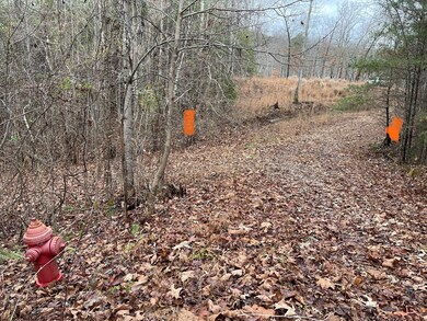 0 Cane Creek Rd unit 216390, Sparta, TN 38583 - photo 3