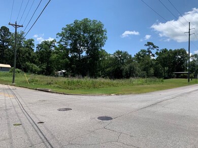 820 N Broad St, Thomasville, GA 31792 - photo 2