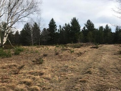 0 Sloptown Rd unit 201812505, Beaver Island, MI 49782 - photo 4