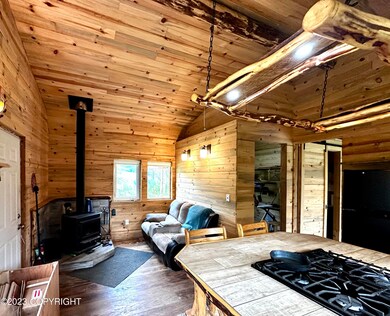 27259 Birdwatch St, Anchor Point, AK 99556 - photo 2