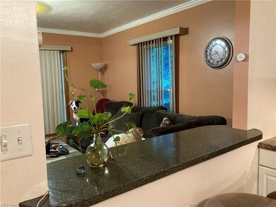 3731 Lorain Ave, Lorain, OH 44055 - photo 4