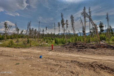 TBD Gcr 471 #2, Grand Lake, CO 80447 - photo 6