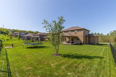 Spacious, level backyard with covered patio and lo