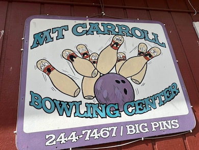 206 N Main St, Mount Carroll, IL 61053 - photo 2