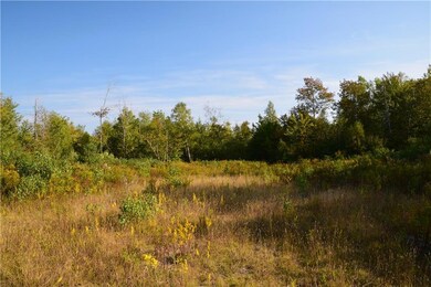 Possible camper or homesite.