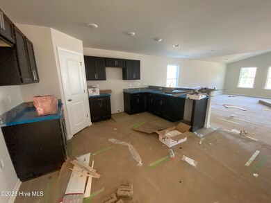 202 Streamlet Dr, Fremont, NC 27830 - photo 4