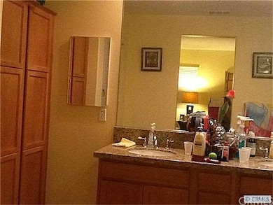 master bathroom sink