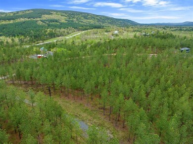 10 Three Waters St, Honobia, OK 74957 - photo 7