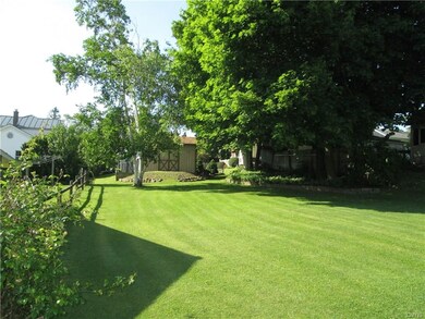 The shed in the back is the other side of the pool