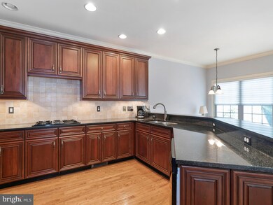 25638 Creek Run Terrace, Chantilly, VA 20152 - photo 5