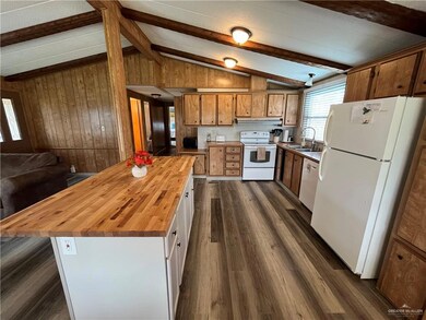 913 Palm Dr, Alamo, TX 78516 - photo 4