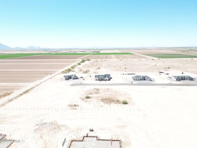 DJI_0879