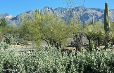 Via E front yard (2)