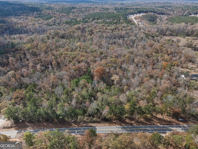 0 Highway 212 unit 10632256, Covington, GA 30014 - photo 3