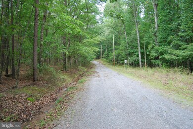 0 Pinewood Ln, Berkeley Springs, WV 25411 - photo 5