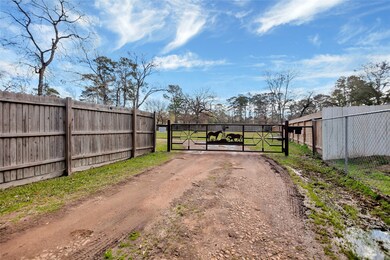37110 Tadpole Trail, Magnolia, TX 77355 - photo 4