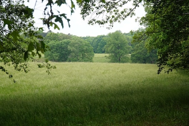 339 Mcnutt Rd, Bear Creek, AL 35543 - photo 3