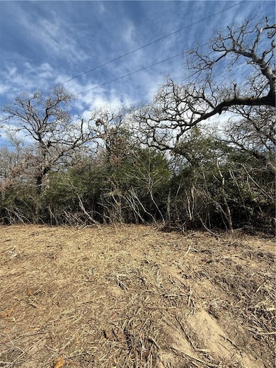 TBD Oaks Dr, Caldwell, TX 77836 - photo 5
