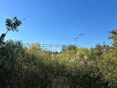 3711 Felix Currie Rd, Point Blank, TX 77364 - photo 5