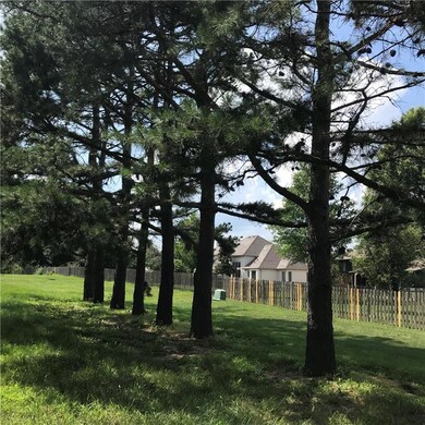 Row of Pine trees on the back of lot