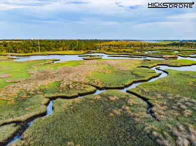 Aerial view of marsh