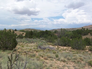 20 Paseo de San Antonio Rd, Placitas, NM 87043 - photo 4