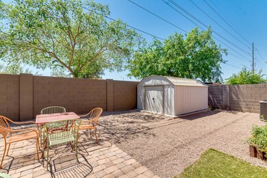 Backyard 02