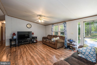 24897 Doe Bridge Ln, Millsboro, DE 19966 - photo 7