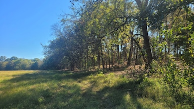 6 Pass Rd, Shelbyville, TN 37160 - photo 7