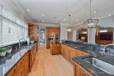 352 S Sleight St, Naperville, IL 60540 - photo 7