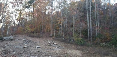 0 107 Ac Board Valley Rd unit 1137801, Cookeville, TN 38506 - photo 6