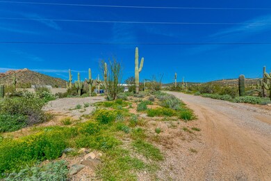 1140 E Saddle Butte St, Apache Junction, AZ 85119 - photo 6