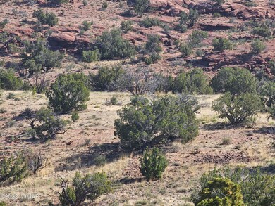 0 N6448, St. Johns, AZ 85936 - photo 6