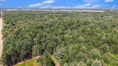 DJI_0495
