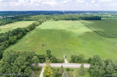 4251 E Frances Rd, Mount Morris, MI 48458 - photo 2