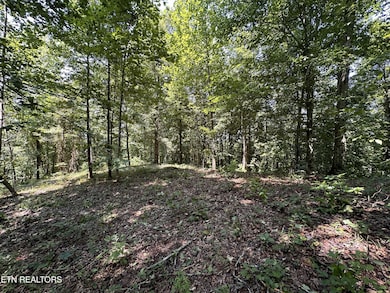 1255 Winningham Rd, Byrdstown, TN 38549 - photo 5