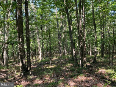 9 & 22 Mount Top Rd, Lost River, WV 26801 - photo 7