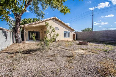 Reseda Backyard 3